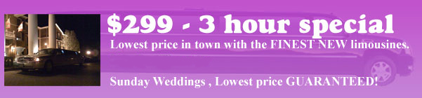 $299 for 3 Hours